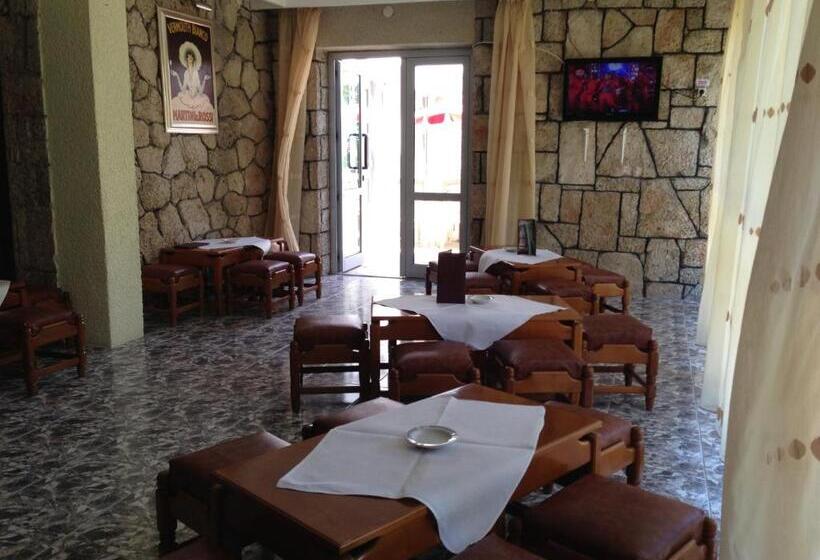 בית מלון כפרי Ovidiu