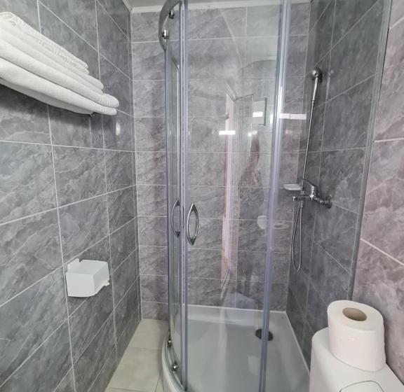 בית מלון כפרי Ovidiu