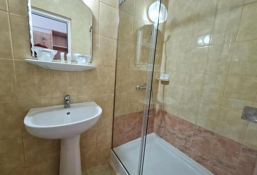 בית מלון כפרי Ovidiu