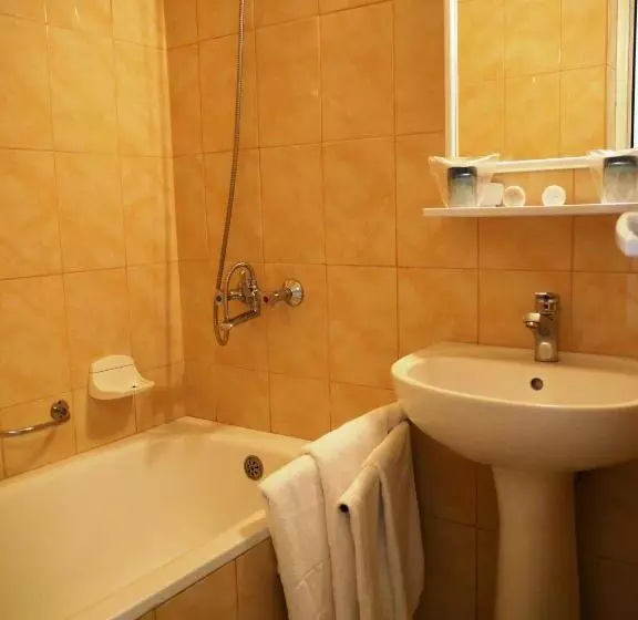Hotel Ovidiu