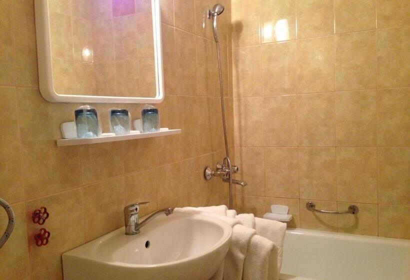 בית מלון כפרי Ovidiu