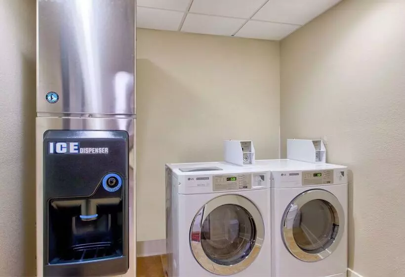 酒店 Hampton Inn Baton Rouge  Denham Springs