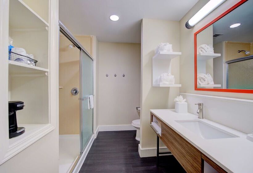 בית מלון כפרי Hampton Inn Baton Rouge  Denham Springs