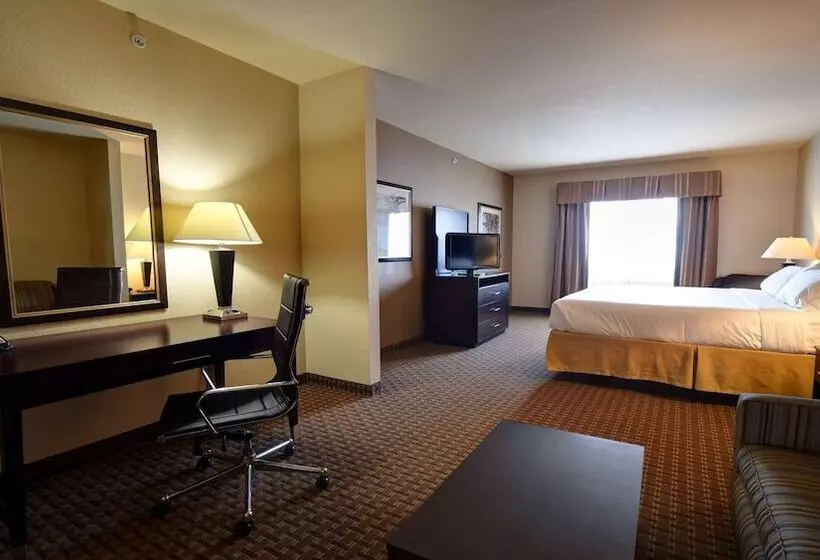 Hotel Holiday Inn Express & Suites Del Rio, An Ihg