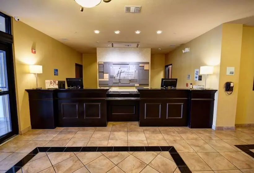 Hotel Holiday Inn Express & Suites Del Rio, An Ihg