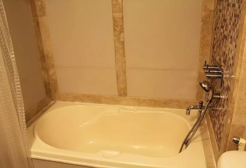 فندق Mayur Residency