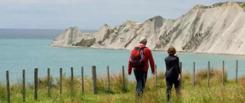 Quest Napier Serviced Apartments