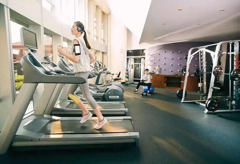 هتل City Of Dreams – The Countdown