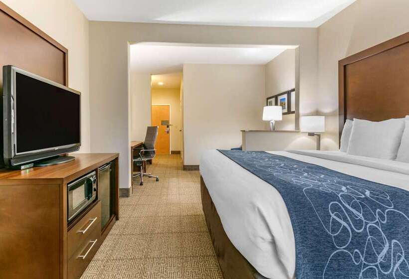 酒店 Comfort Suites