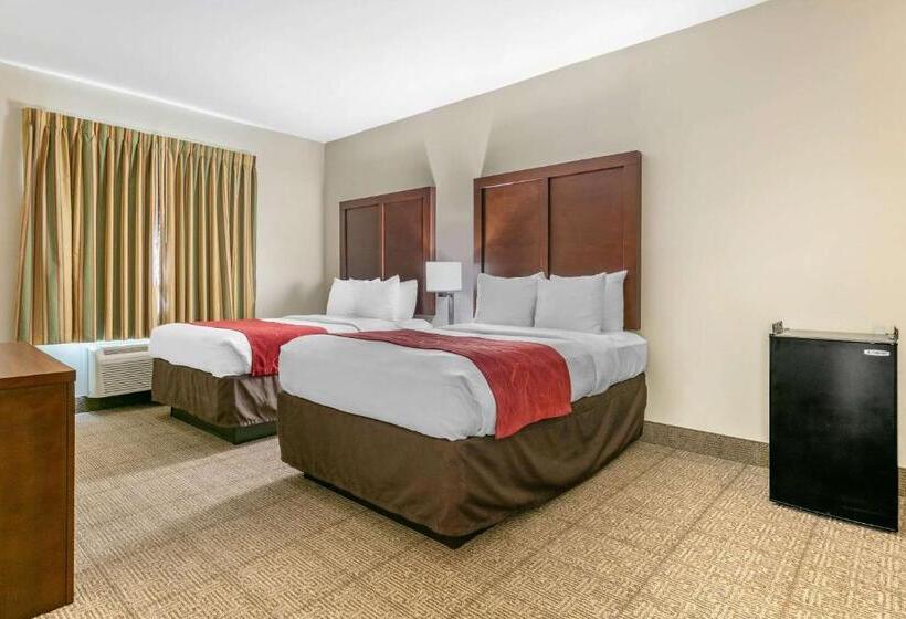 酒店 Comfort Suites