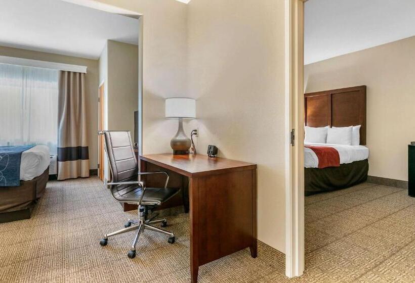 酒店 Comfort Suites