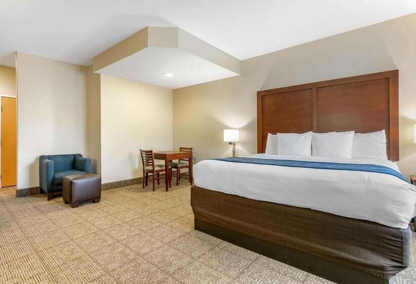 酒店 Comfort Suites