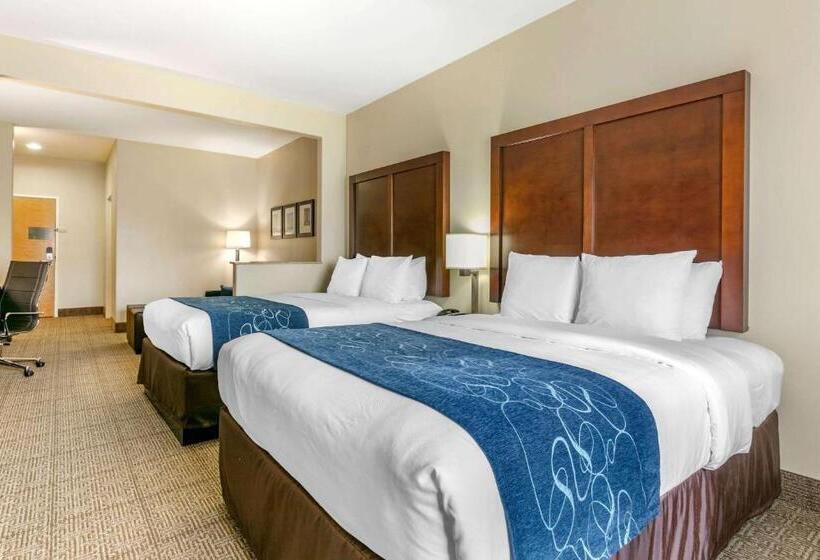 酒店 Comfort Suites
