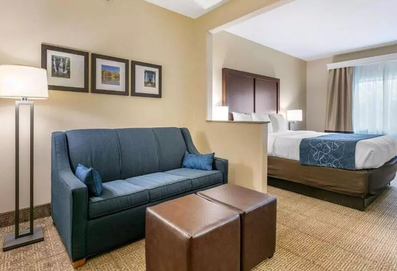 Отель Comfort Suites