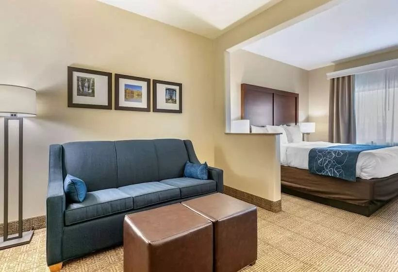Отель Comfort Suites