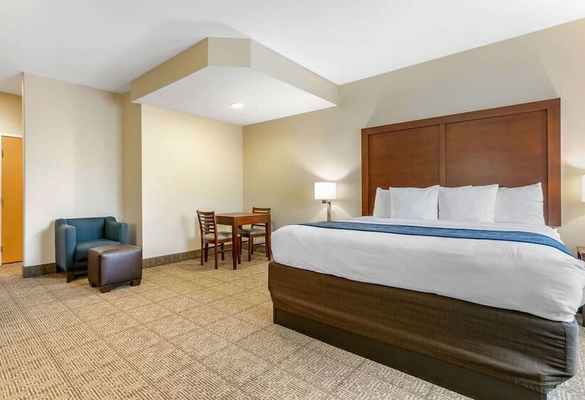 酒店 Comfort Suites