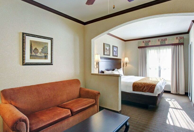 ホテル Comfort Suites University Drive