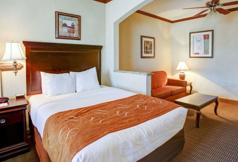 ホテル Comfort Suites University Drive