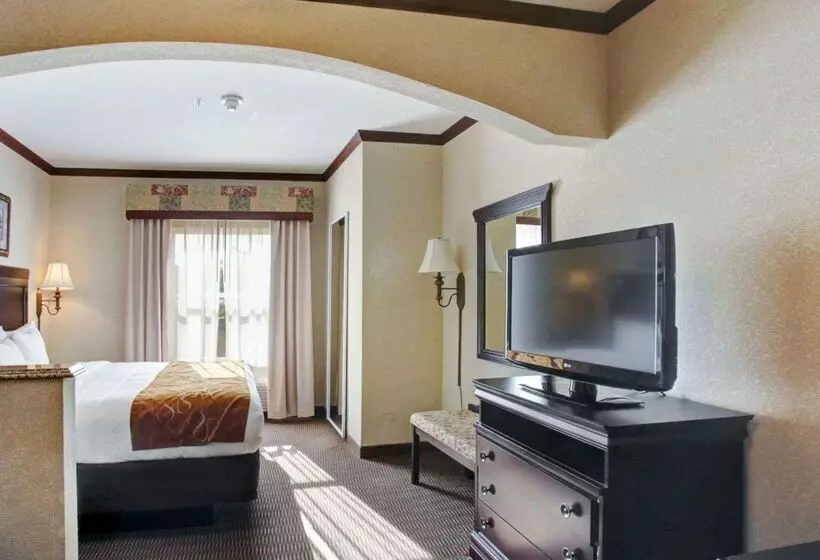 酒店 Comfort Suites University Drive