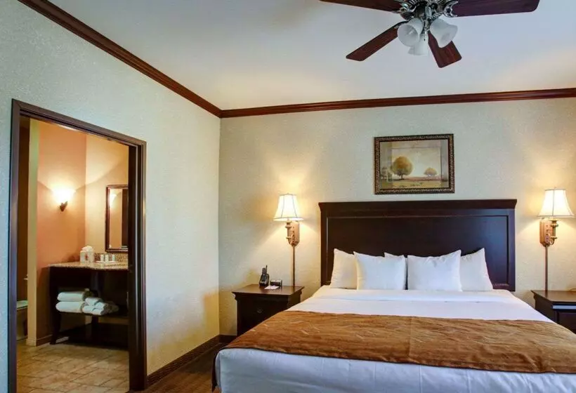 酒店 Comfort Suites University Drive