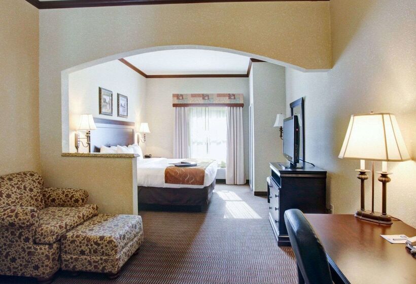 ホテル Comfort Suites University Drive