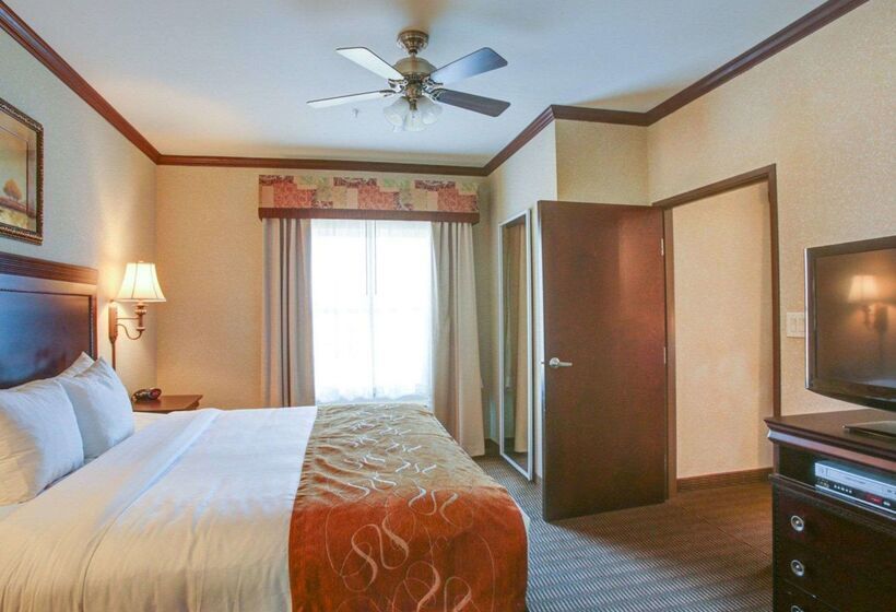 ホテル Comfort Suites University Drive