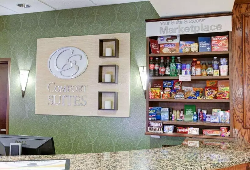 酒店 Comfort Suites University Drive