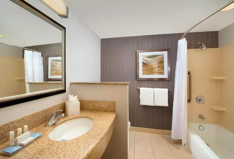 ホテル Courtyard By Marriott San Antonio Seaworld/lackland
