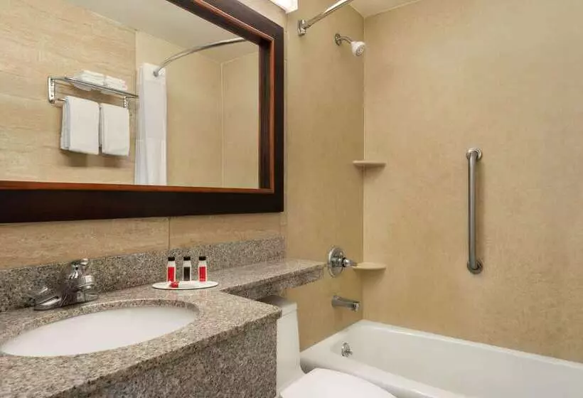 בית מלון כפרי Days Inn By Wyndham Long Island City