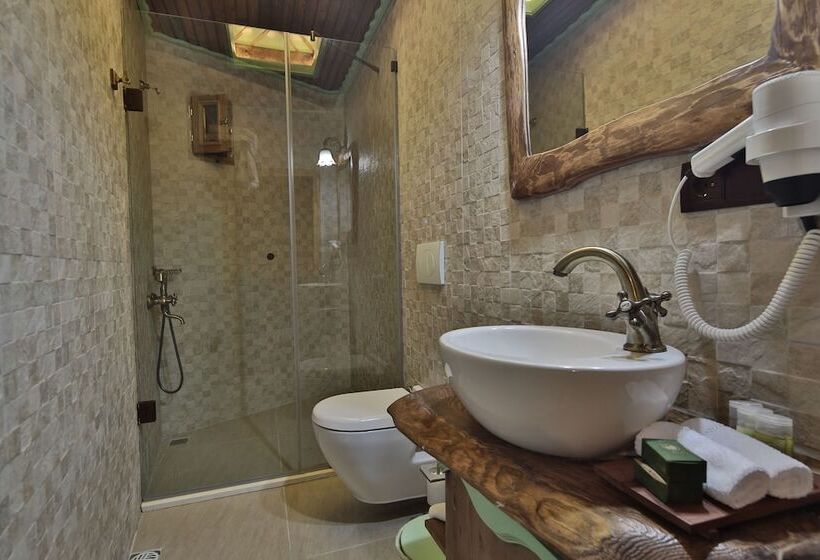 هتل Elif Stone House