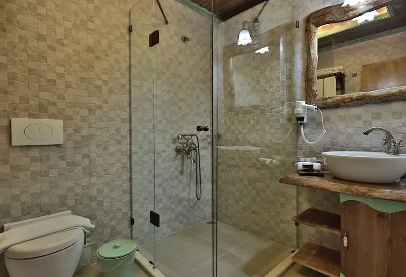 酒店 Elif Stone House