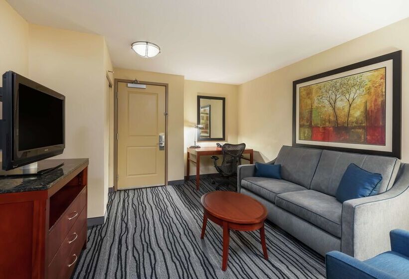هتل Hilton Garden Inn St. Louis Shiloh/o Fallon Il