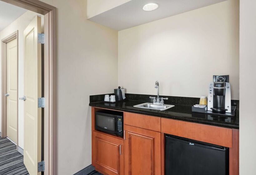 هتل Hilton Garden Inn St. Louis Shiloh/o Fallon Il