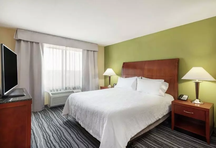ホテル Hilton Garden Inn St. Louis Shiloh/o Fallon Il