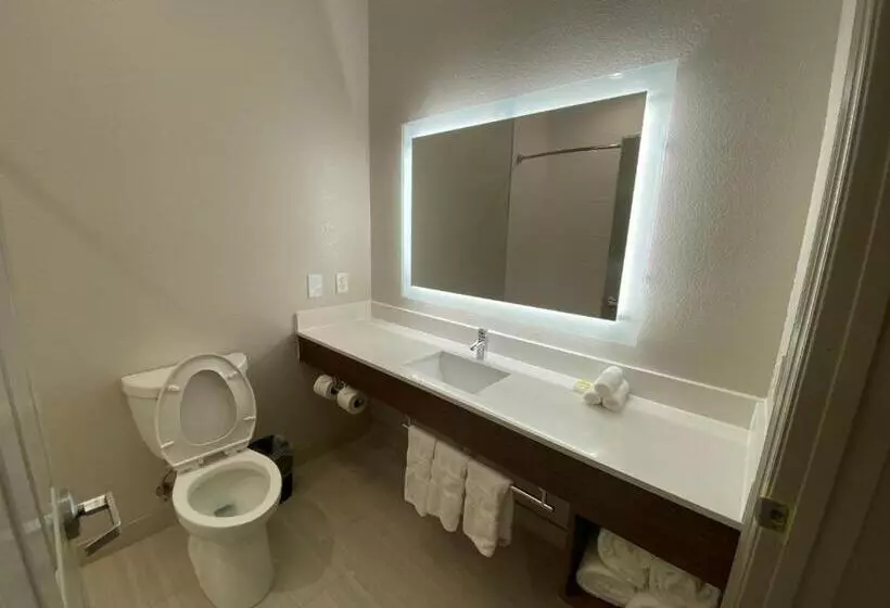 Holiday Inn Express Hotel Galveston West Seawall, An Ihg