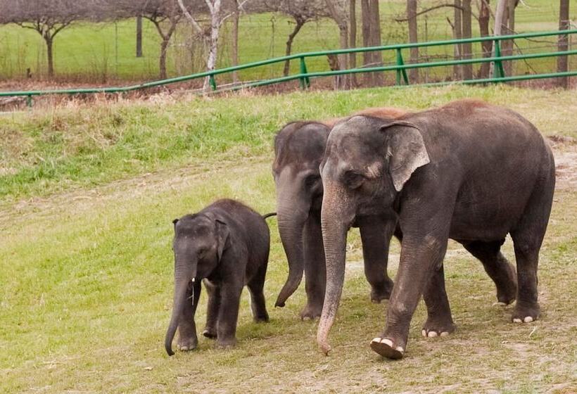 فندق Holiday Inn Express Syracuse Airport, An Ihg