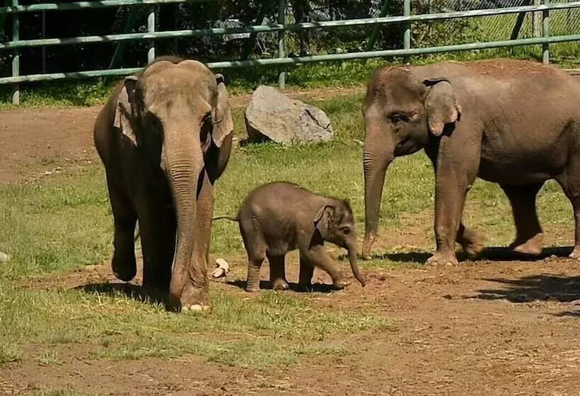فندق Holiday Inn Express Syracuse Airport, An Ihg