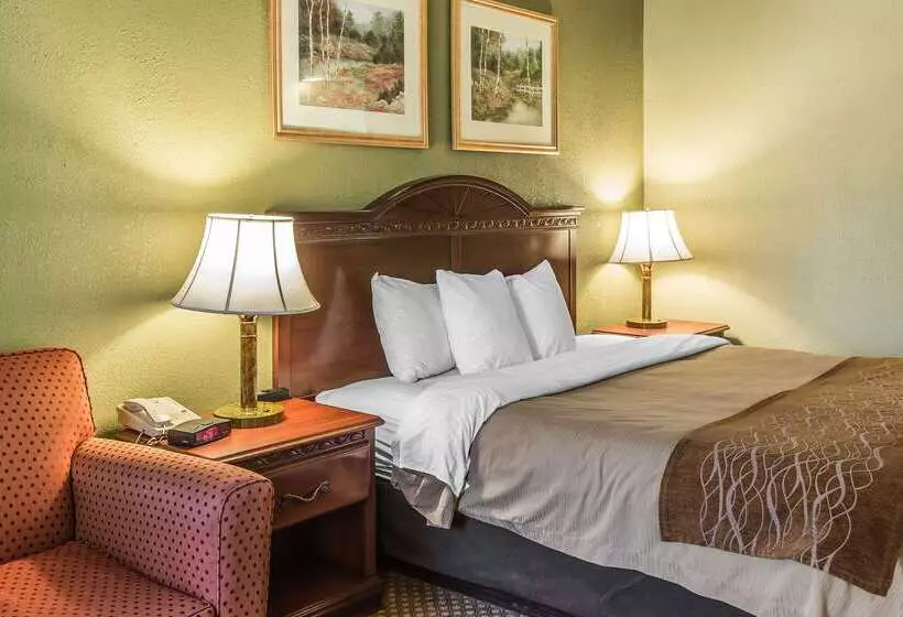 Otel Quality Inn & Suites Ann Arbor Hwy 23