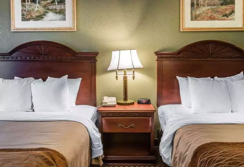 Otel Quality Inn & Suites Ann Arbor Hwy 23