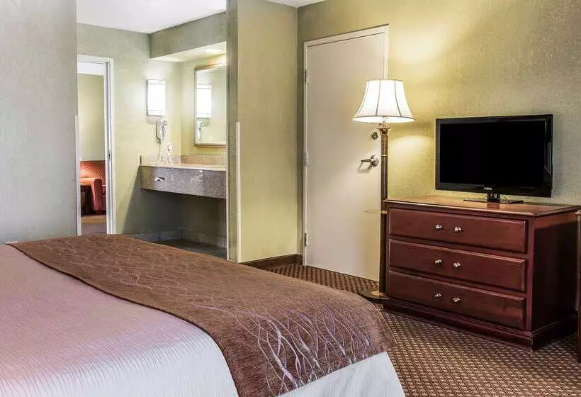 Otel Quality Inn & Suites Ann Arbor Hwy 23