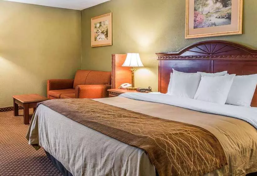 Otel Quality Inn & Suites Ann Arbor Hwy 23