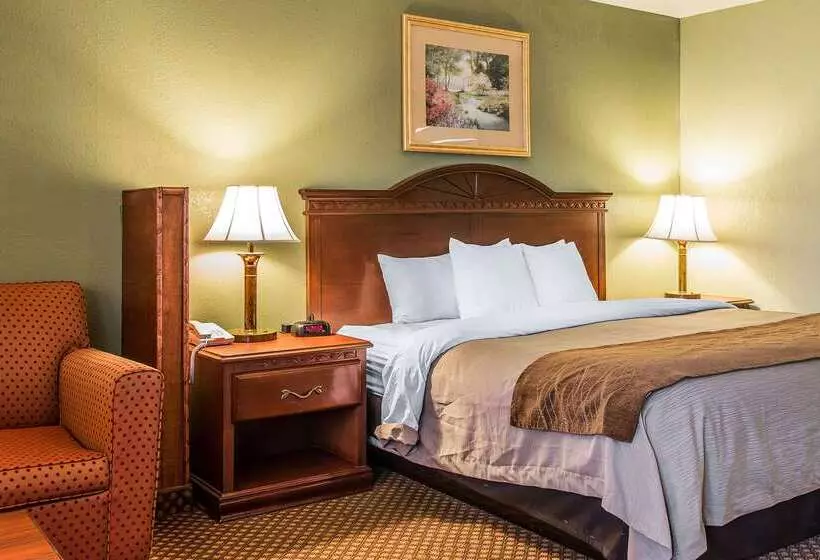Otel Quality Inn & Suites Ann Arbor Hwy 23