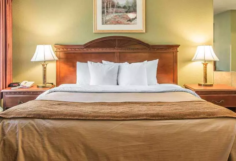 Otel Quality Inn & Suites Ann Arbor Hwy 23