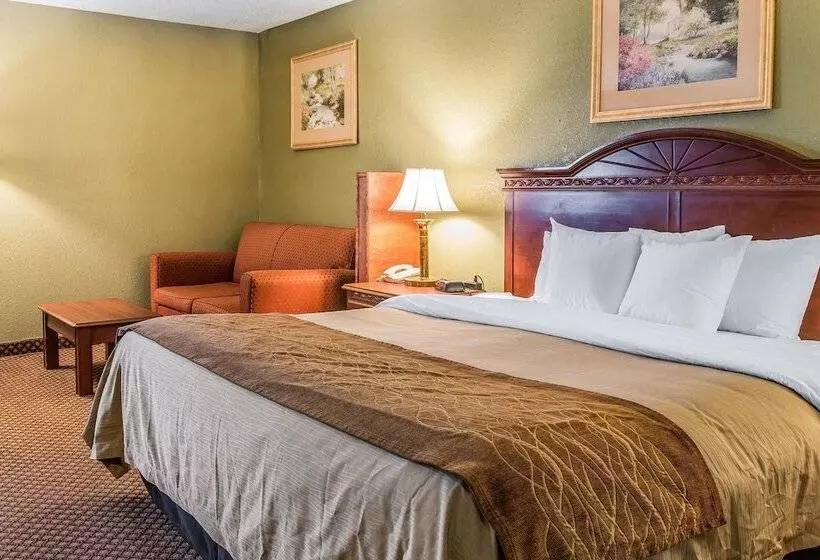 Otel Quality Inn & Suites Ann Arbor Hwy 23