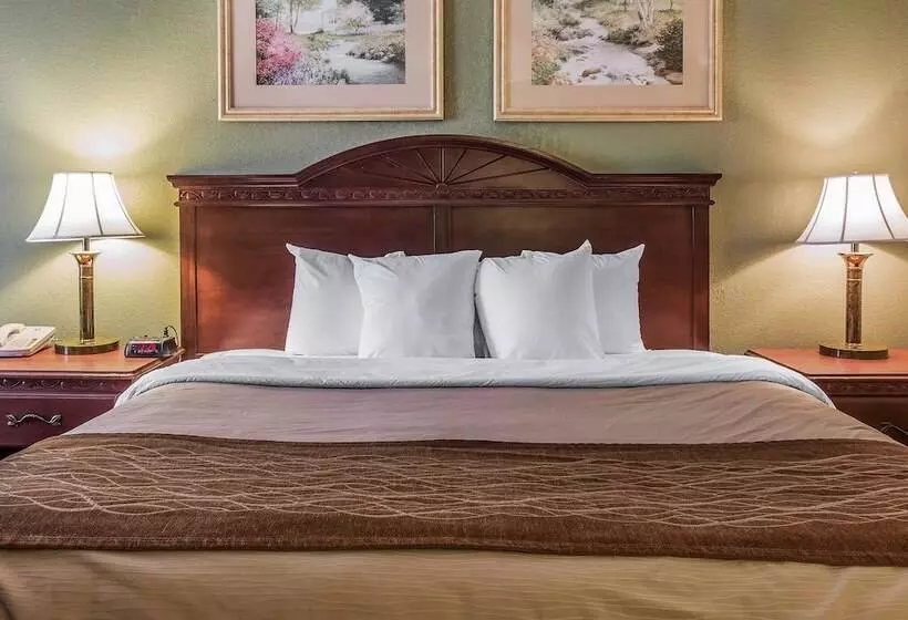 Otel Quality Inn & Suites Ann Arbor Hwy 23