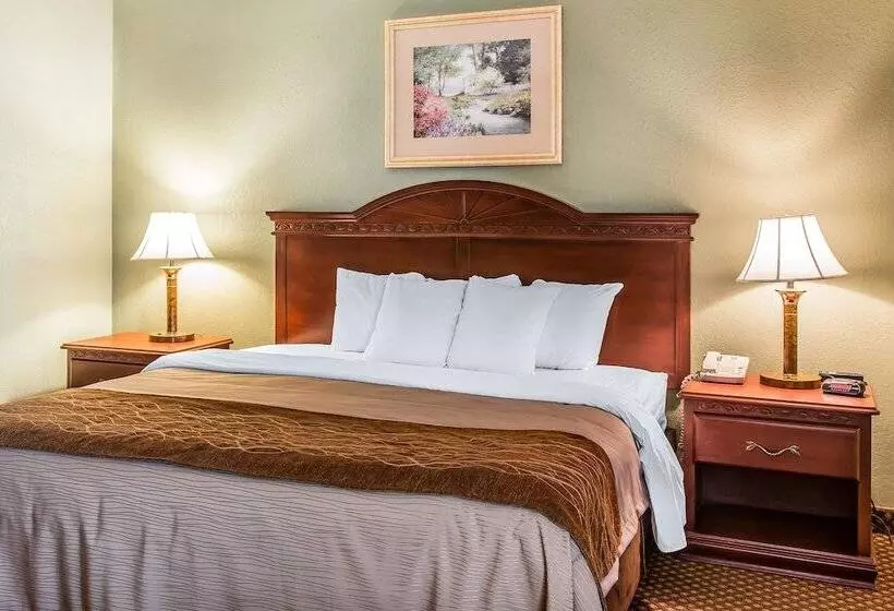 Otel Quality Inn & Suites Ann Arbor Hwy 23