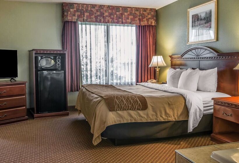 هتل Quality Inn & Suites Ann Arbor Hwy 23