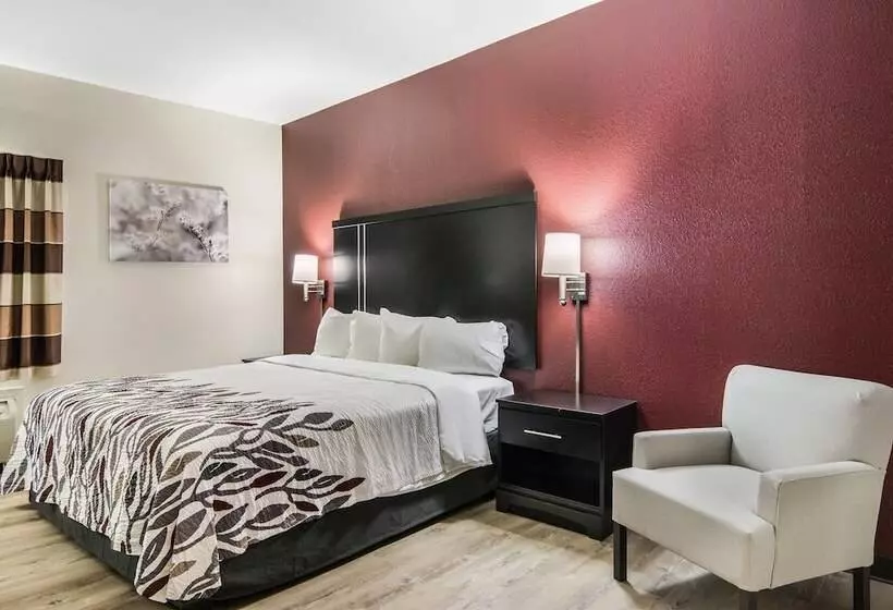 酒店 Red Roof Inn Fort Worth   Saginaw