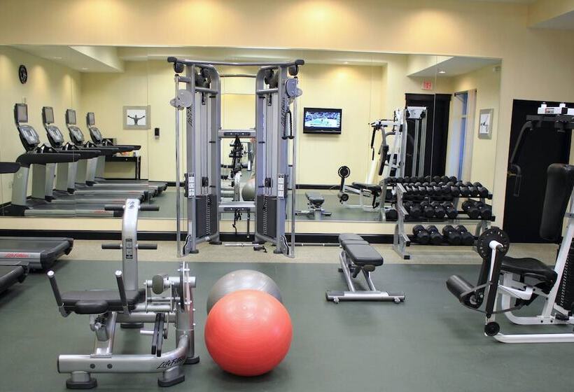 فندق St. Petersburg Marriott Clearwater