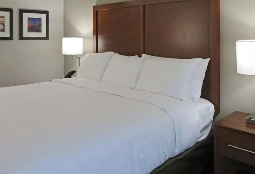 호텔 Comfort Inn & Suites